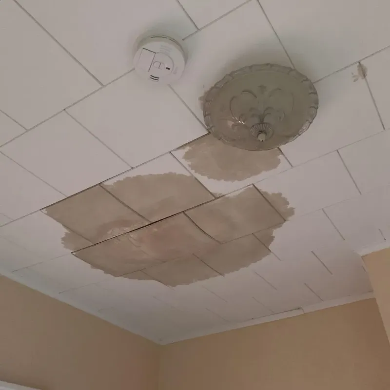 Ceiling Water Damage Repair in Five Points, OH