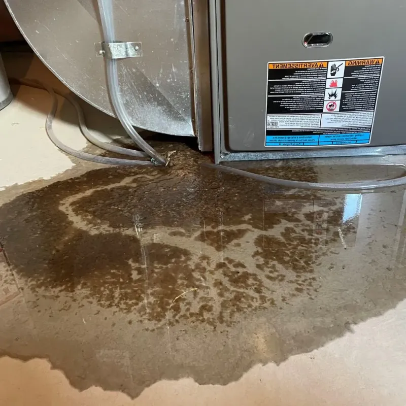 Pipe Burst and Leak Restoration in Five Points, OH