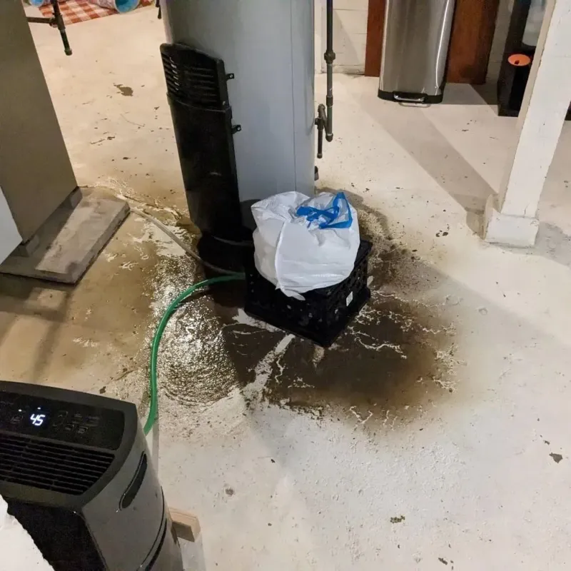 Sewage Backup Cleanup Service in Five Points, OH